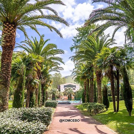 Appartement T1 Bis Avec Jardin Prive Et Piscine, 4 Pers, Cambo-Les-Bains - Fr-1-495-13 Kültér fotó